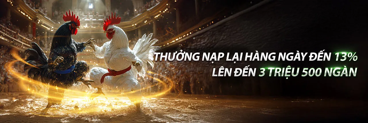 Mã Wipwin 2026: Tin tức, Ưu đãi và Giải trí